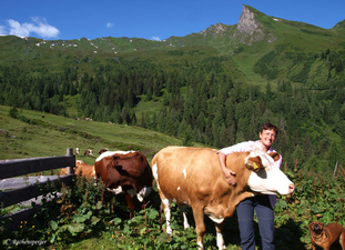 Urlaub am Bauernhof - ein Erlebnis für die ganze Familie!