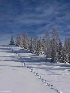 Bezaubernde Winterlandschaften laden zum Skifahren ein.